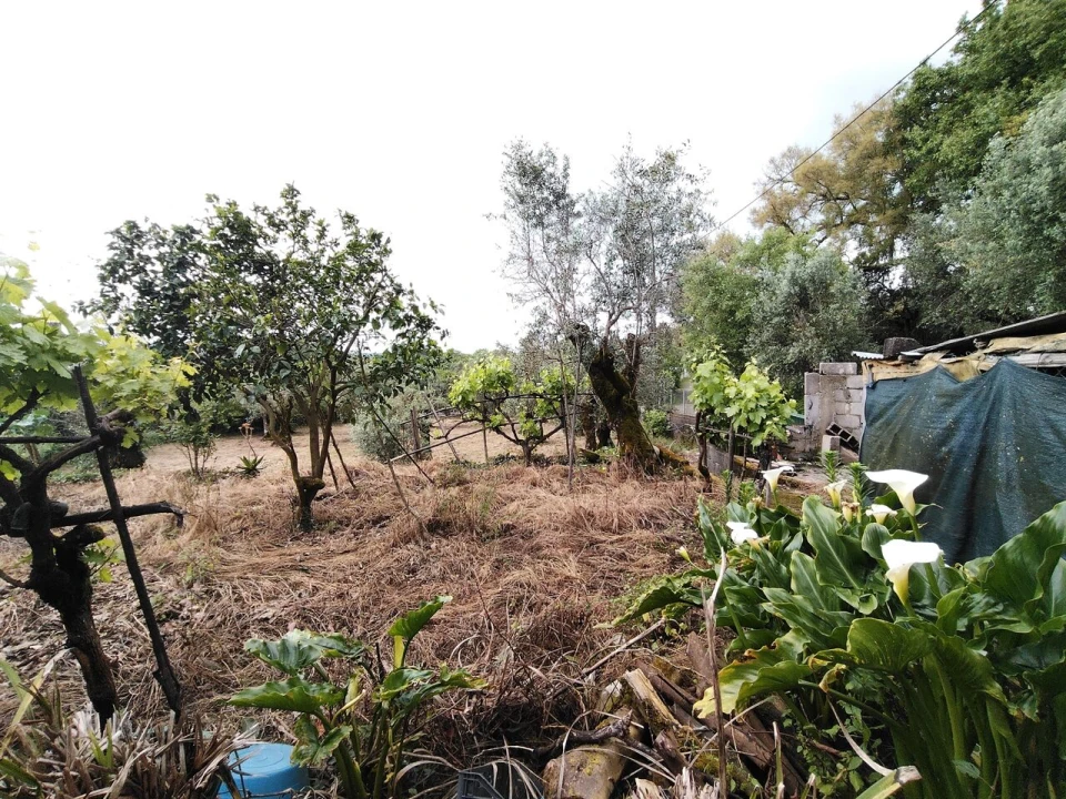 Moradia T3 para Venda em Avelar Foto 43