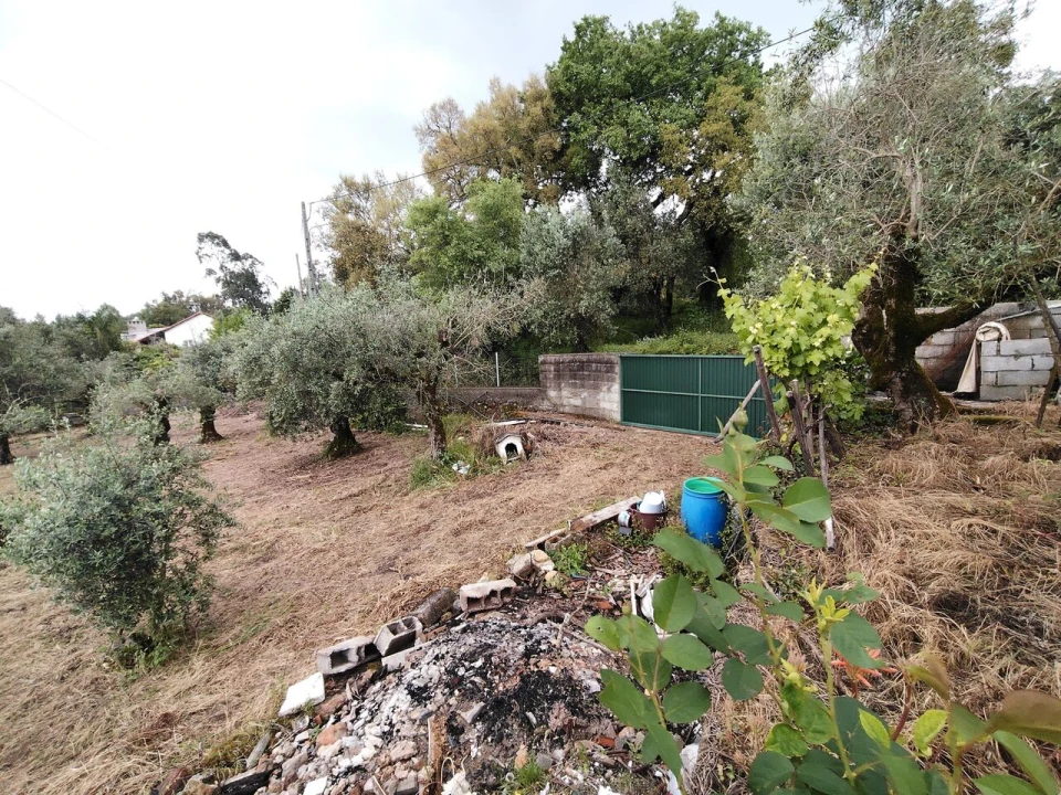 Moradia T3 para Venda em Avelar Foto 44