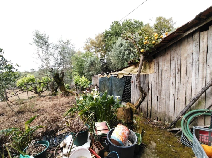 Moradia T3 para Venda em Avelar Foto 40