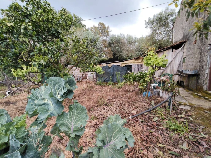 Moradia T3 para Venda em Avelar Foto 41