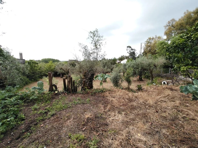 Moradia T3 para Venda em Avelar Foto 46