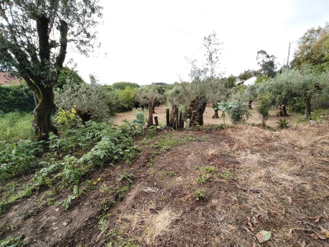 Moradia T3 para Venda em Avelar Foto 47