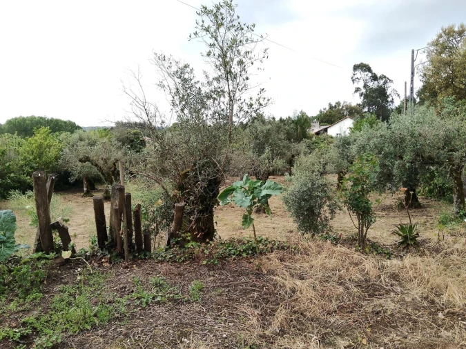 Moradia T3 para Venda em Avelar Foto 49