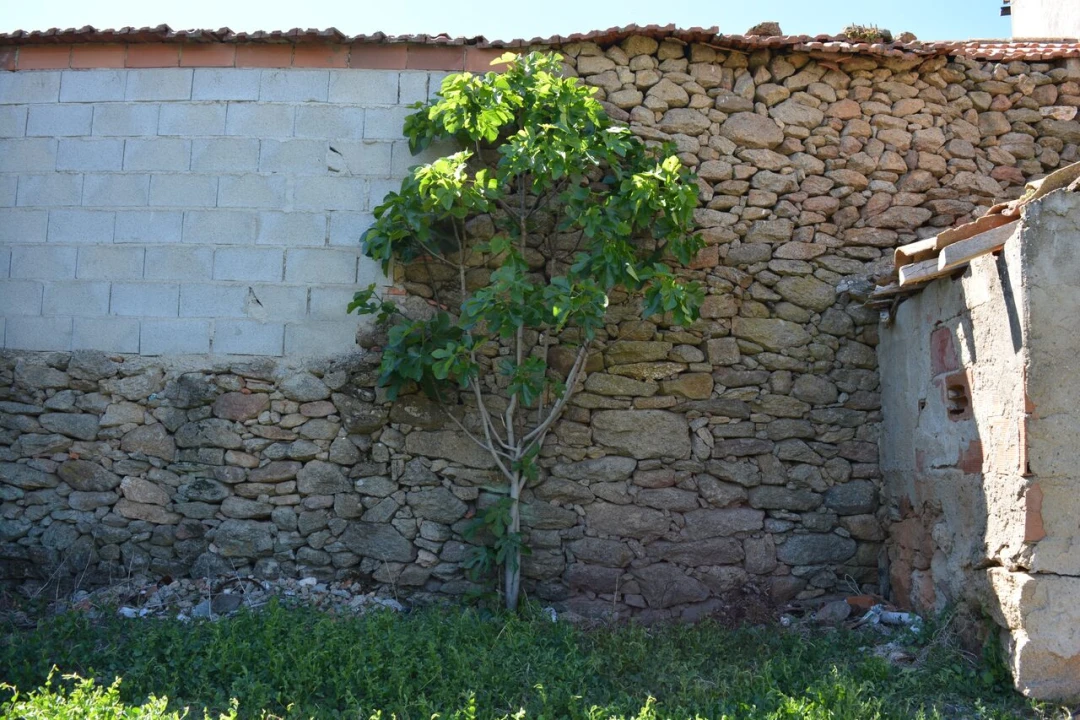 Moradia T4 para Venda em Bemposta Foto 39