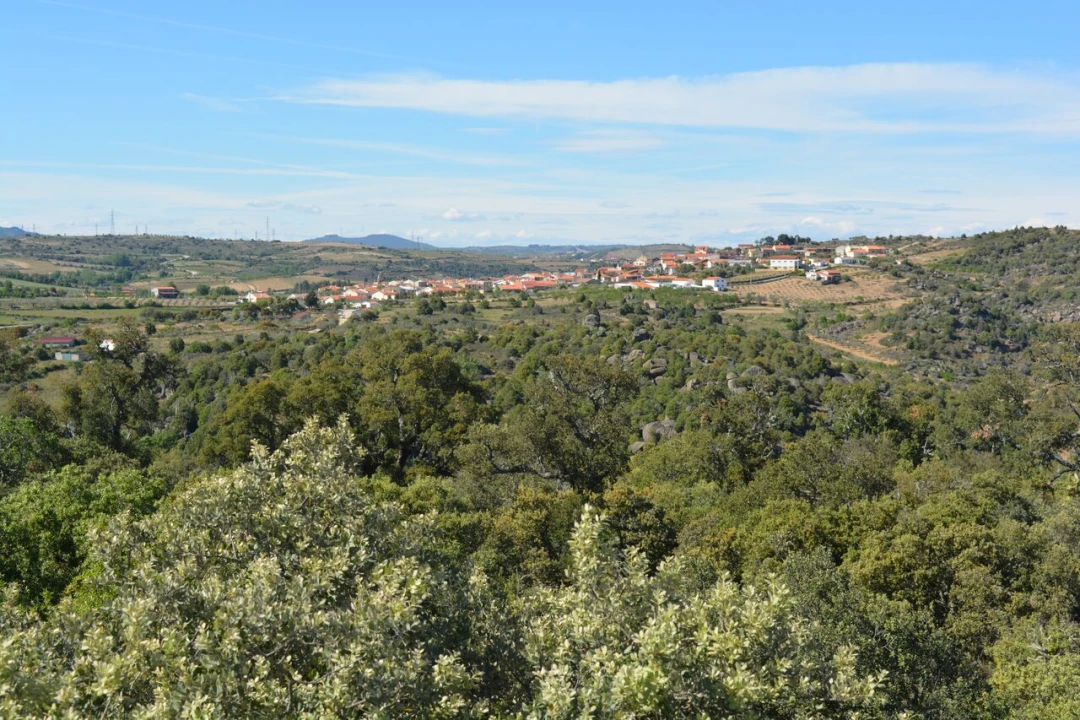 Moradia T4 para Venda em Bemposta Foto 44