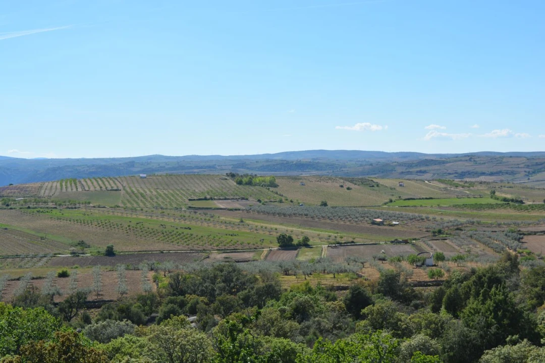 Moradia T4 para Venda em Bemposta Foto 47