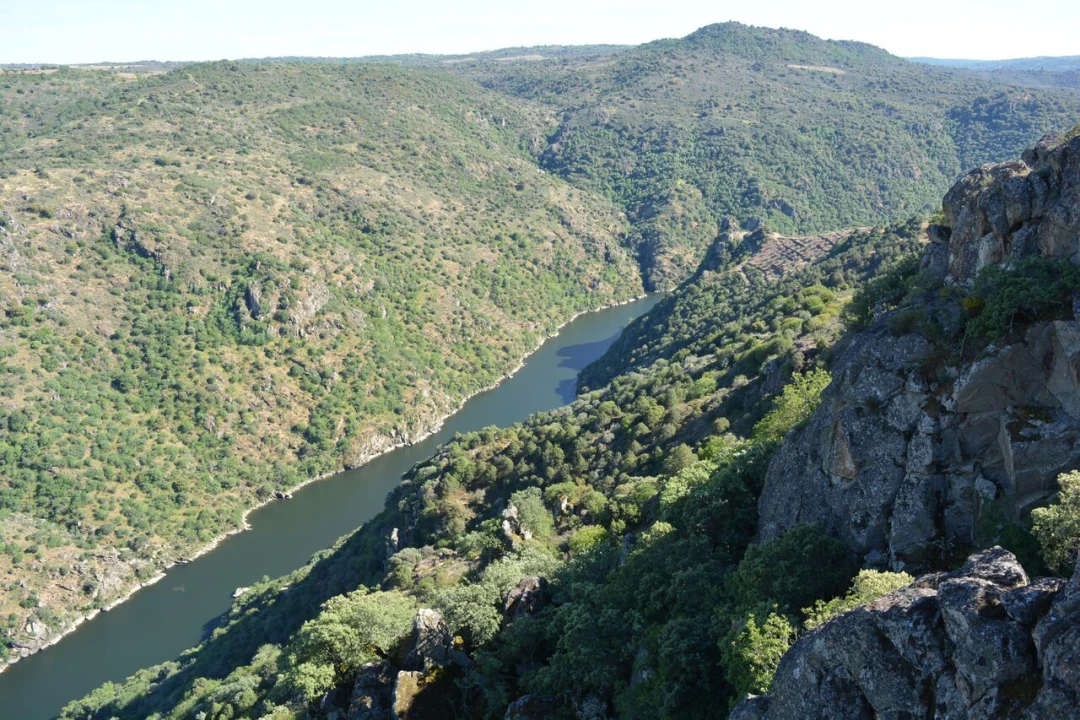 Moradia T4 para Venda em Bemposta Foto 49