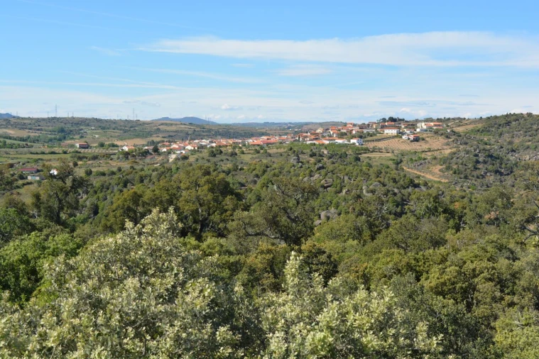 Moradia T4 para Venda em Bemposta Foto 44