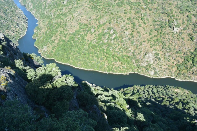 Moradia T4 para Venda em Bemposta Foto 45