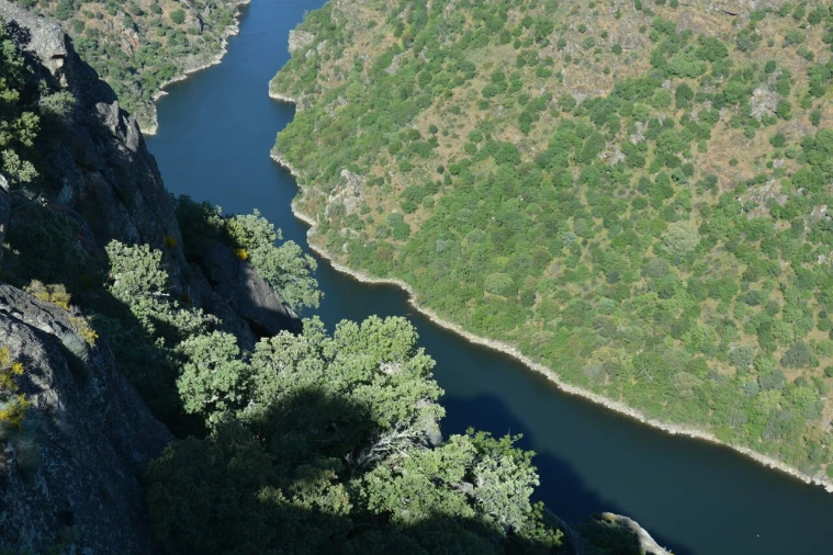 Moradia T4 para Venda em Bemposta Foto 46