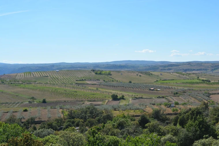 Moradia T4 para Venda em Bemposta Foto 47