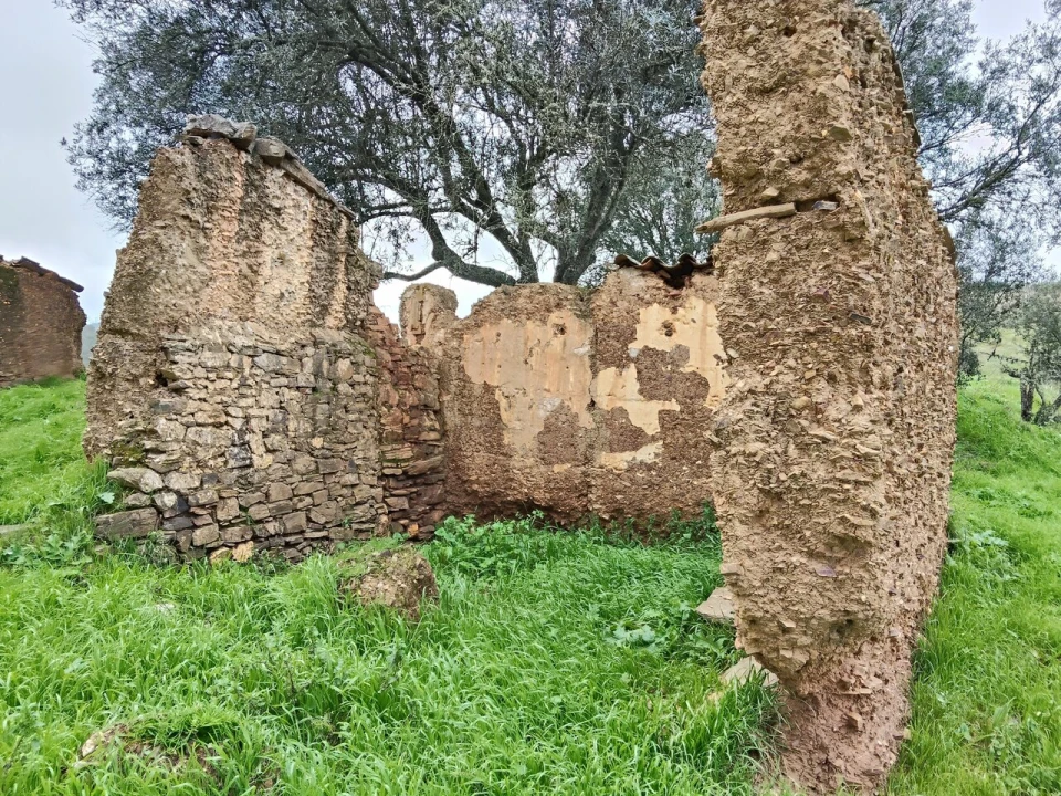Terreno para Venda em Saboia Foto 3