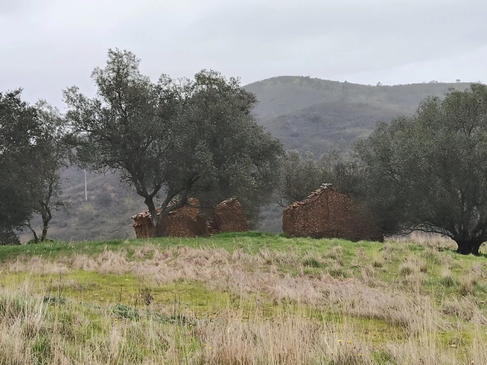Terreno para Venda em Saboia Foto 4