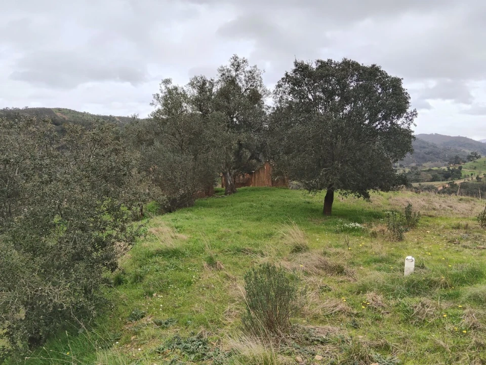 Terreno para Venda em Saboia Foto 5