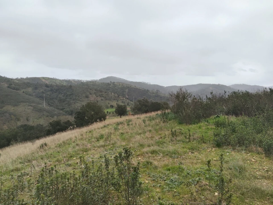 Terreno para Venda em Saboia Foto 7