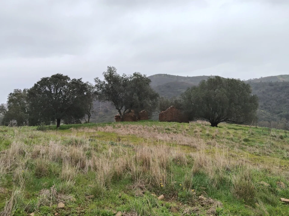 Terreno para Venda em Saboia Foto 8