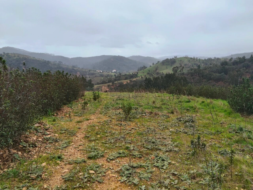 Terreno para Venda em Saboia Foto 9