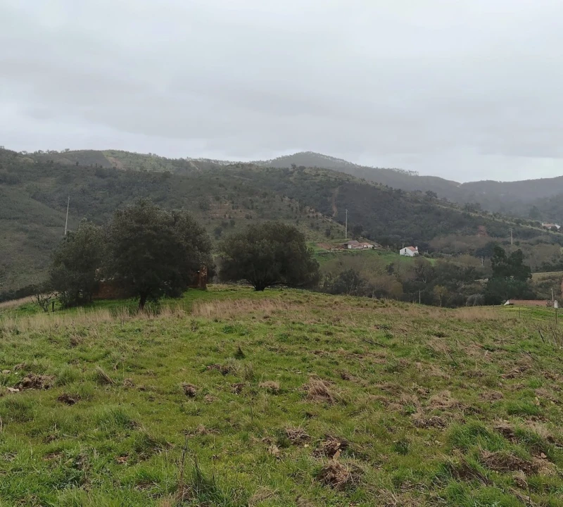 Terreno para Venda em Saboia Foto 11