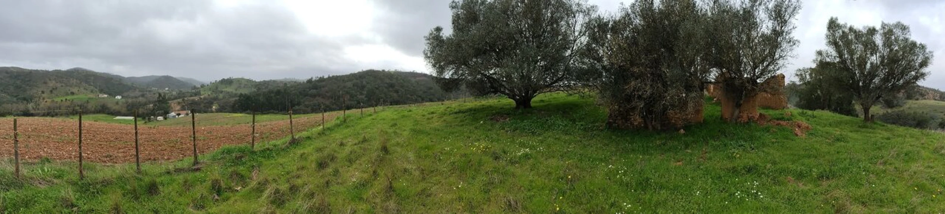 Terreno para Venda em Saboia Foto 15