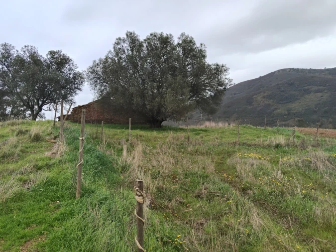 Terreno para Venda em Saboia Foto 1
