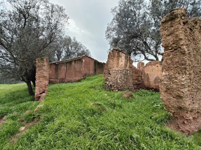 Terreno para Venda em Saboia Foto 2