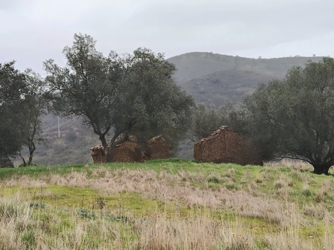 Terreno para Venda em Saboia Foto 4