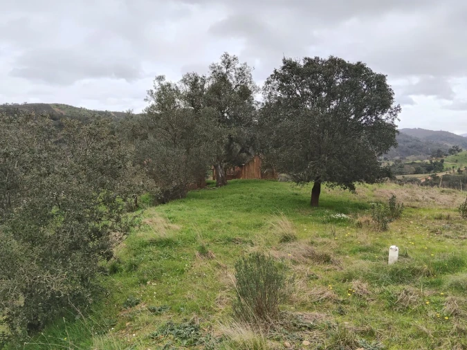 Terreno para Venda em Saboia Foto 5