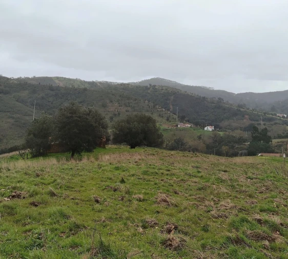 Terreno para Venda em Saboia Foto 11