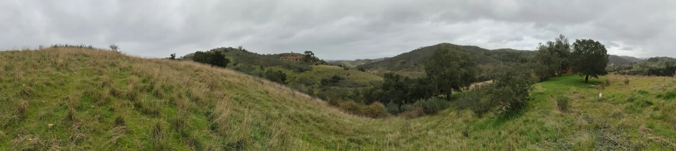 Terreno para Venda em Saboia Foto 13