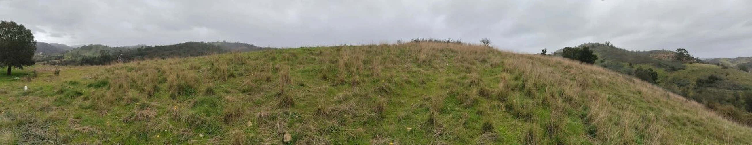 Terreno para Venda em Saboia Foto 14