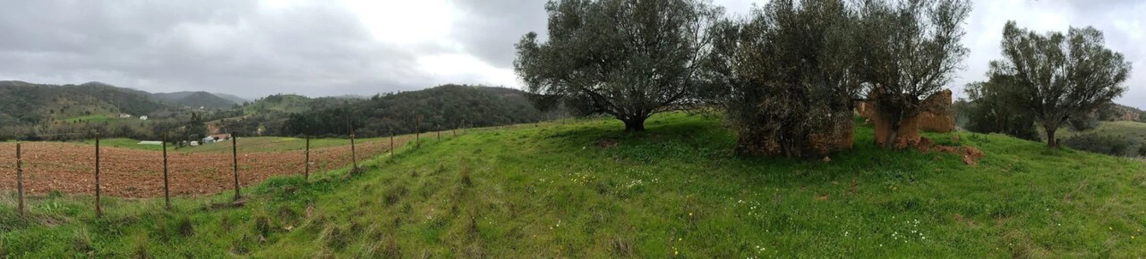 Terreno para Venda em Saboia Foto 15