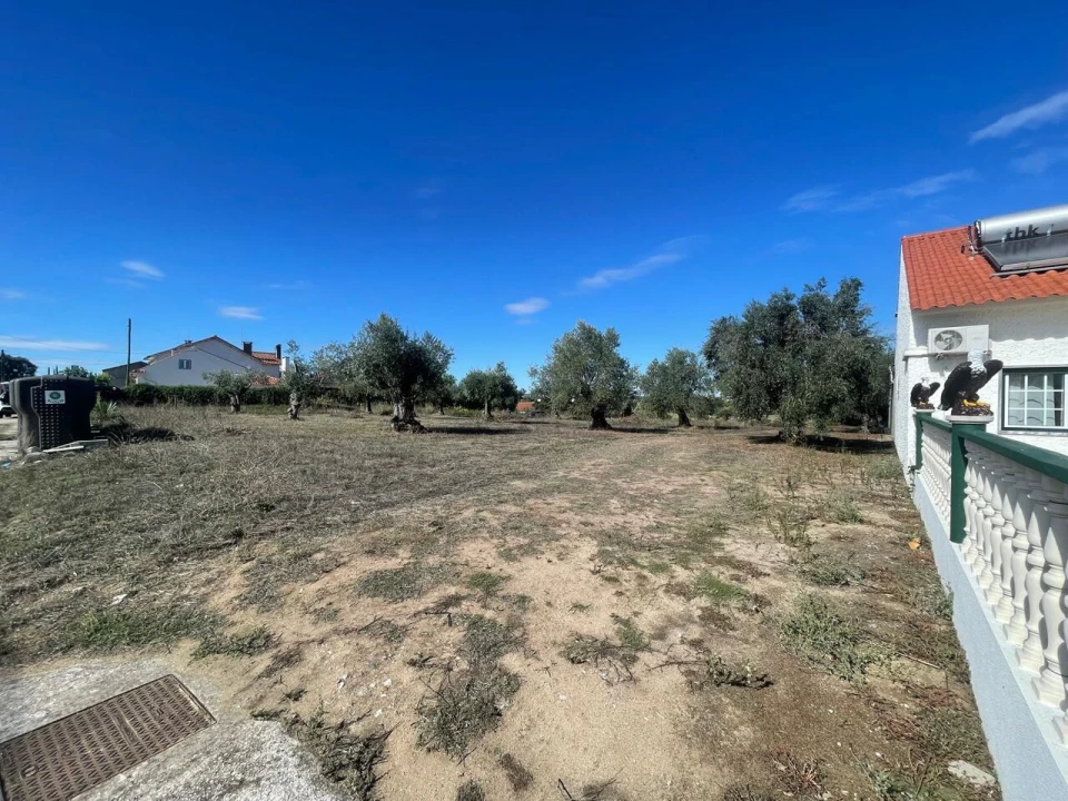 Terreno para Venda em São Pedro de Tomar Foto 1