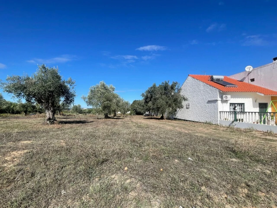 Terreno para Venda em São Pedro de Tomar Foto 3
