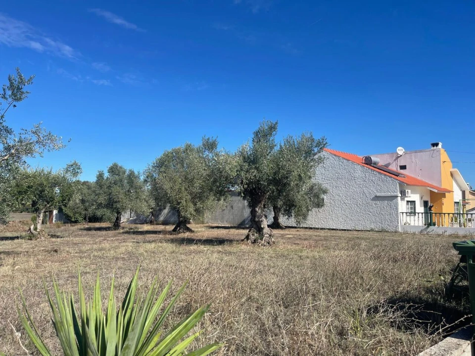 Terreno para Venda em São Pedro de Tomar Foto 5