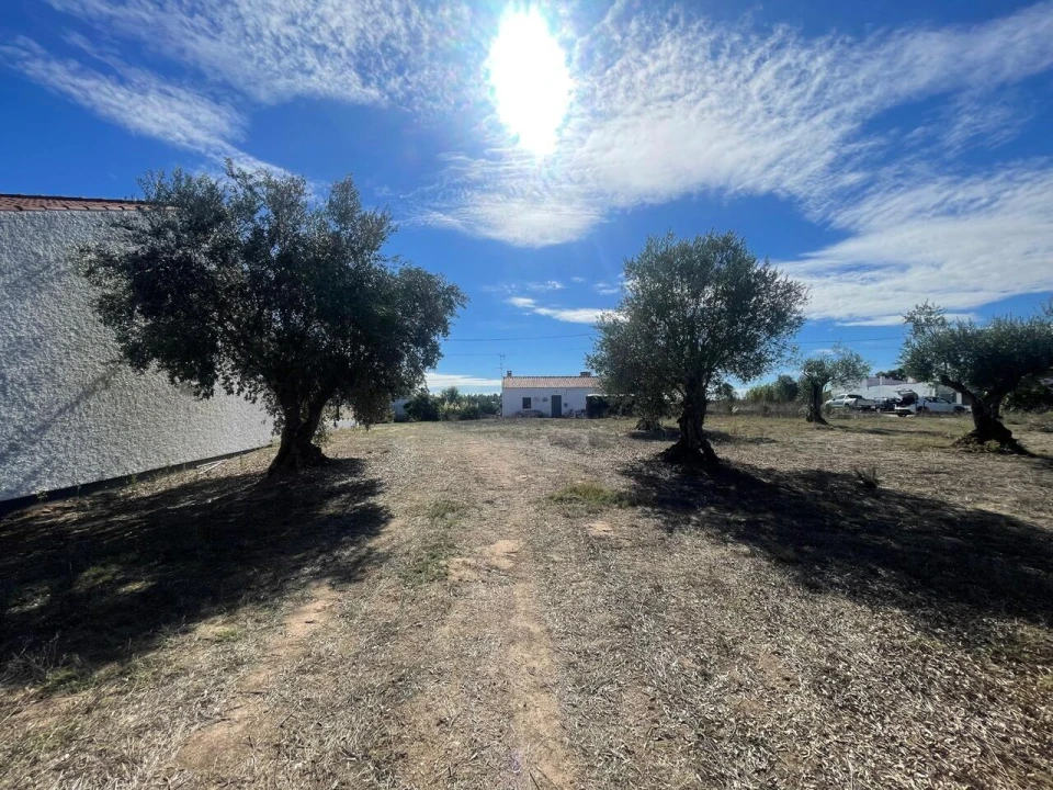 Terreno para Venda em São Pedro de Tomar Foto 6