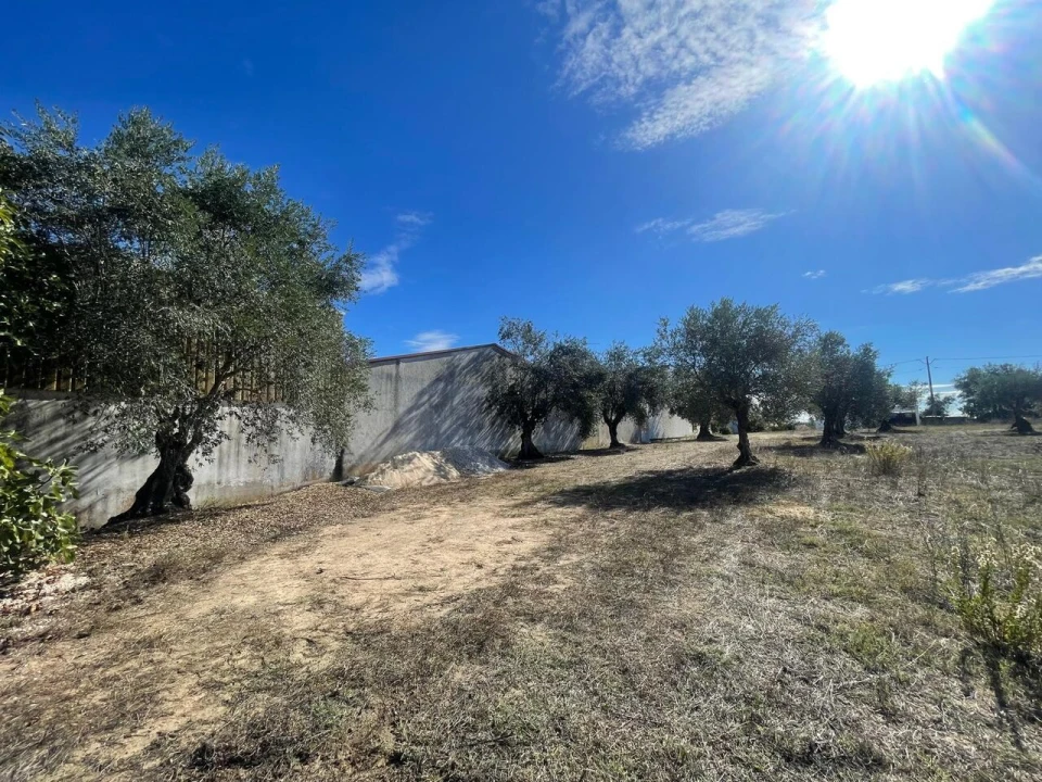 Terreno para Venda em São Pedro de Tomar Foto 9