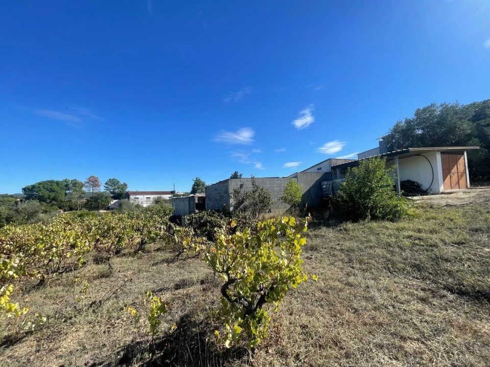 Terreno para Venda em São Pedro de Tomar Foto 10