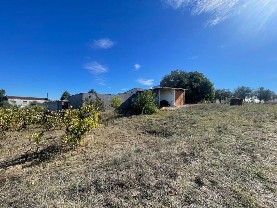 Terreno para Venda em São Pedro de Tomar Foto 11