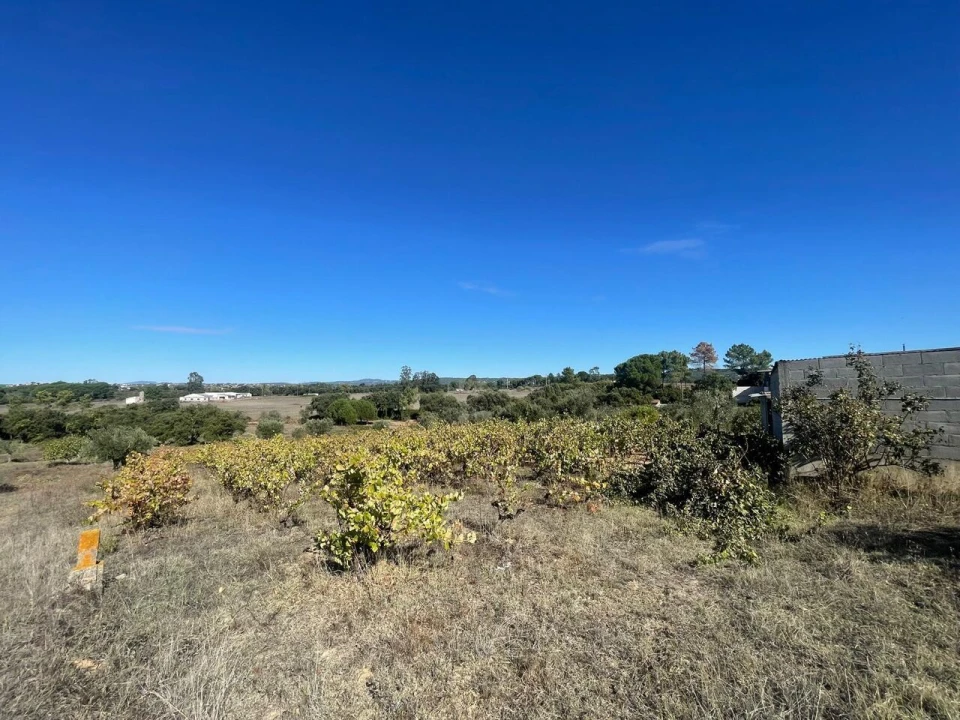 Terreno para Venda em São Pedro de Tomar Foto 28