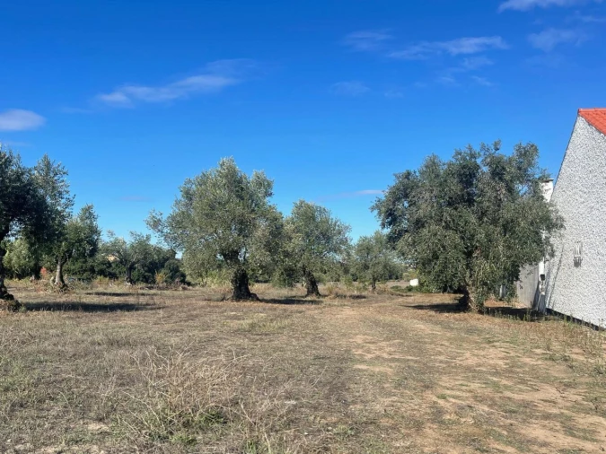 Terreno para Venda em São Pedro de Tomar Foto 2