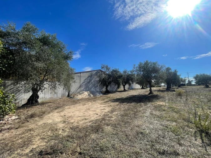 Terreno para Venda em São Pedro de Tomar Foto 9