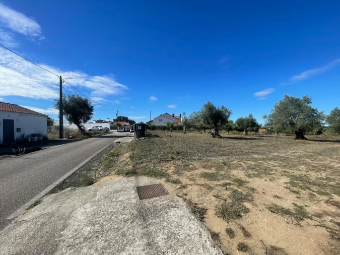 Terreno para Venda em São Pedro de Tomar Foto 12