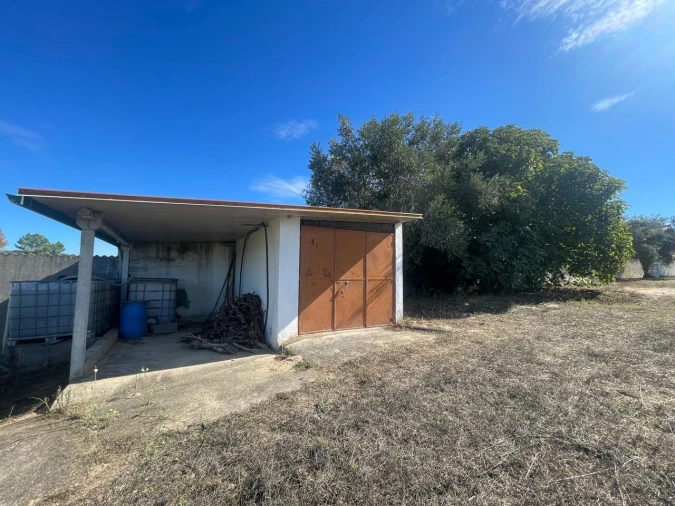 Terreno para Venda em São Pedro de Tomar Foto 16