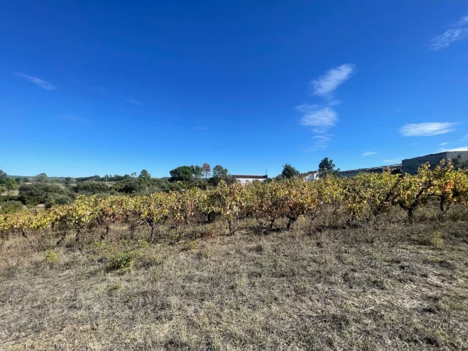 Terreno para Venda em São Pedro de Tomar Foto 25