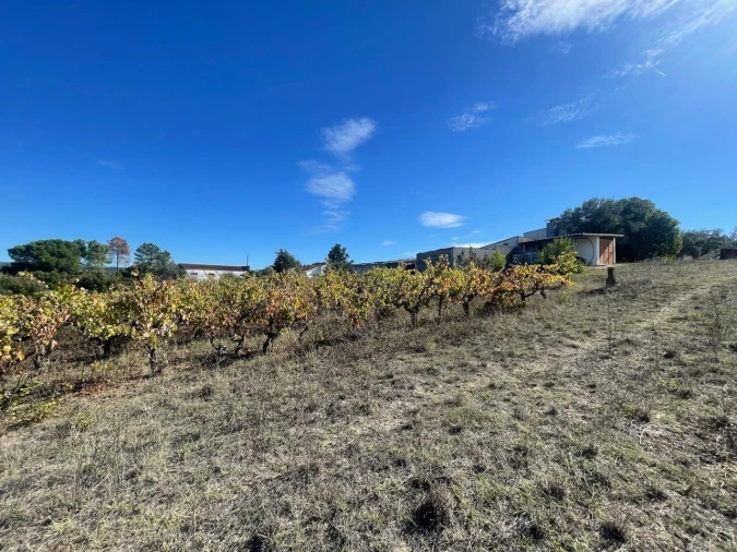 Terreno para Venda em São Pedro de Tomar Foto 26