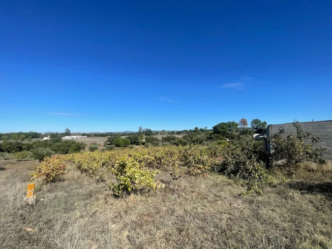 Terreno para Venda em São Pedro de Tomar Foto 28