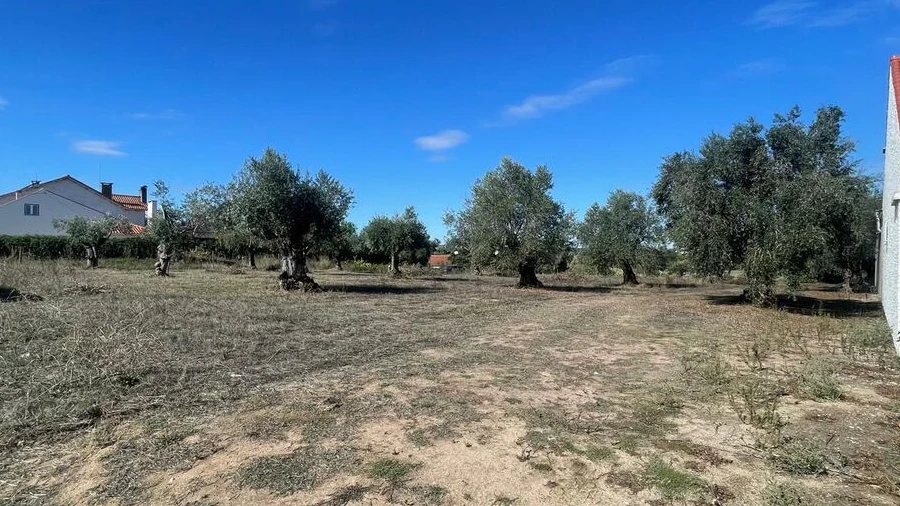 Terreno para Venda em São Pedro de Tomar
