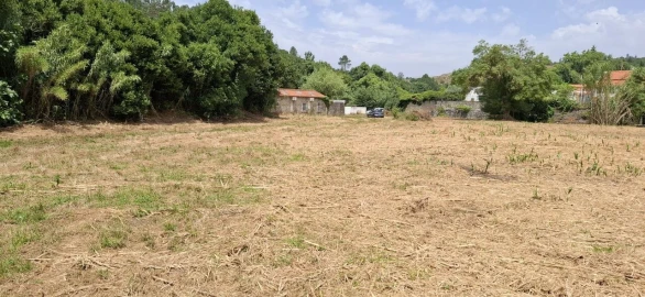Terreno para Venda em Almoster