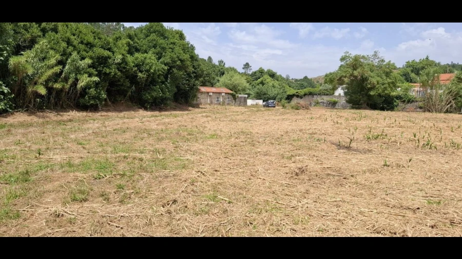Terreno para Venda em Almoster