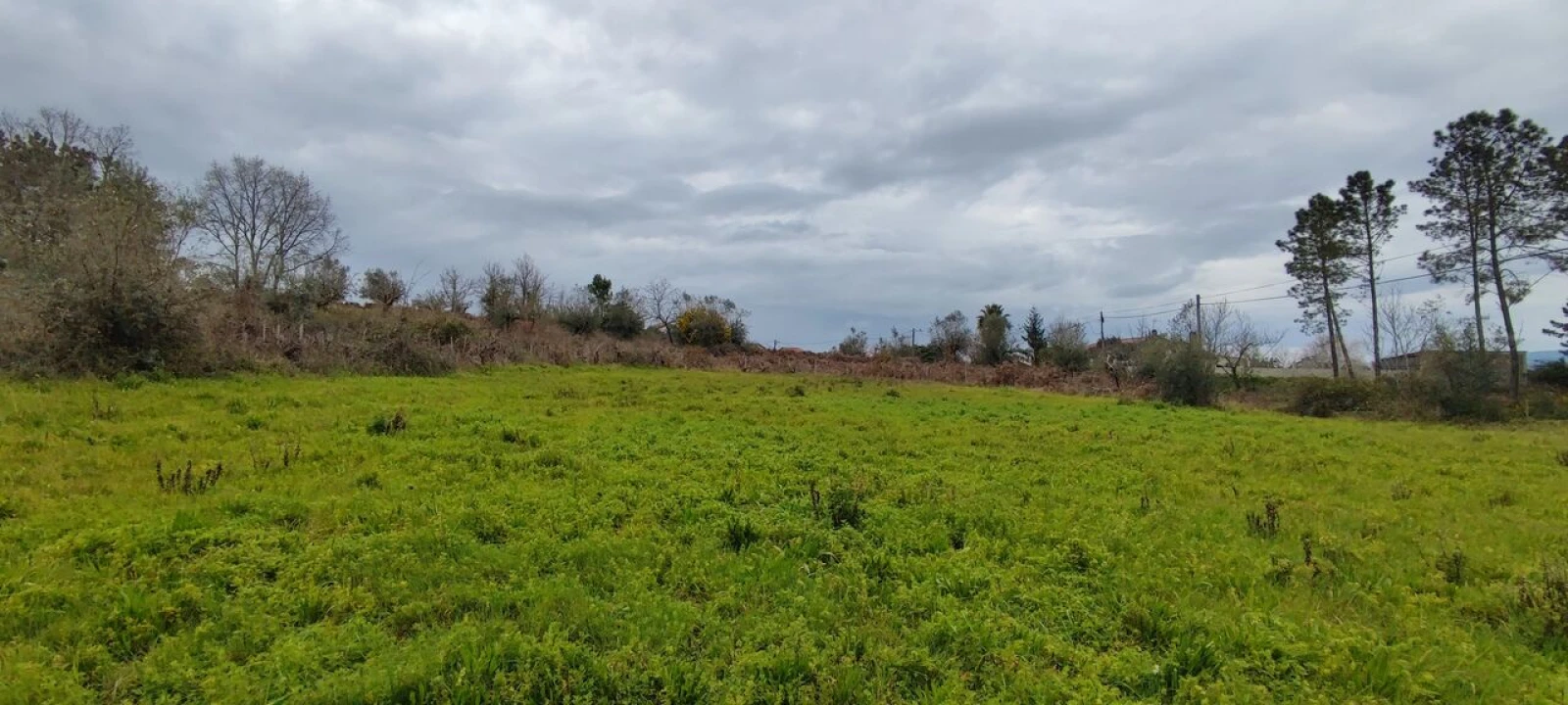 Terreno para Venda em Leiria, Pousos, Barreira e Cortes Foto 1
